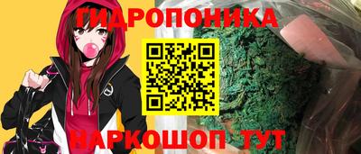 дмт Донской