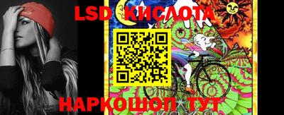 дмт Донской