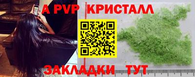 дмт Донской